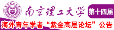 抽插大鸡巴使劲操视频淫荡南京理工大学第十四届海外青年学者紫金论坛诚邀海内外英才！